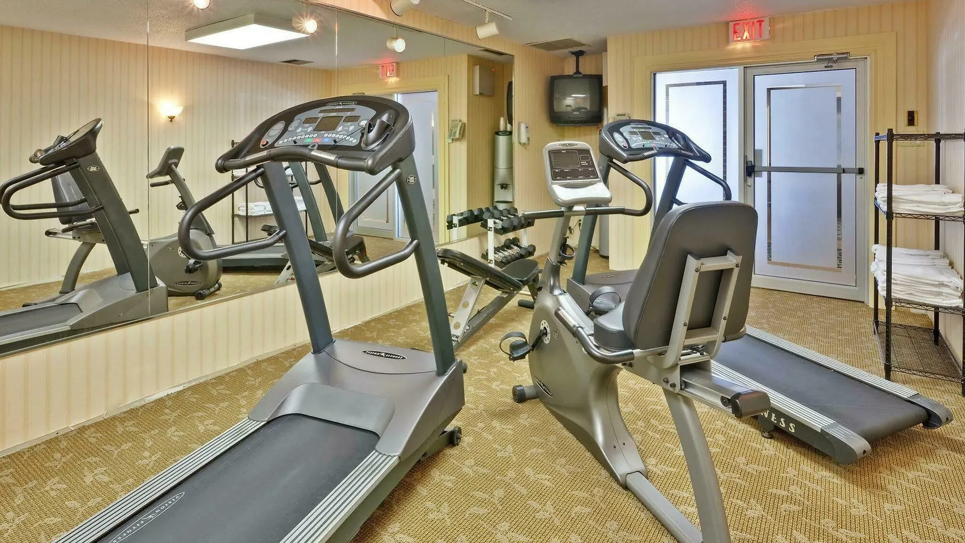Hotel Quality Inn & Suites 5585 Ambler Drive Mississauga Ontario