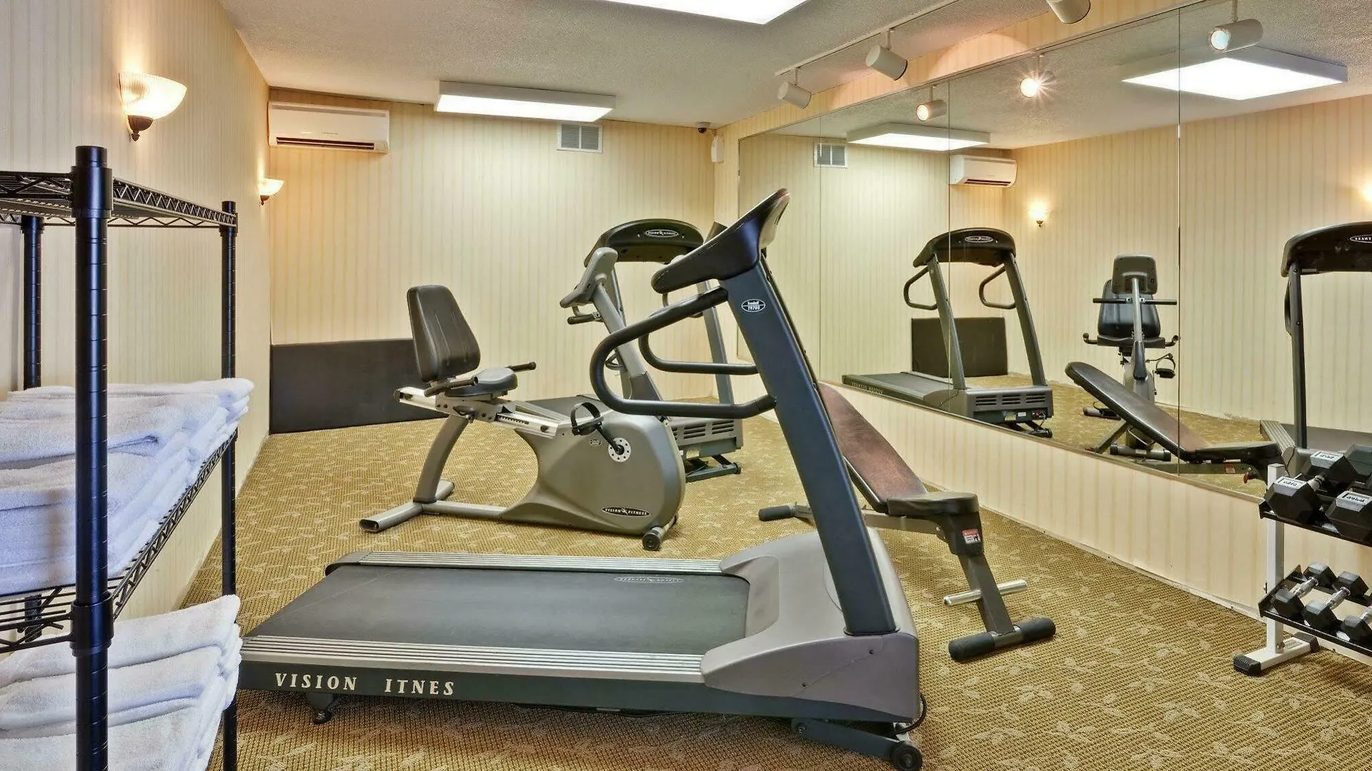 Quality Inn & Suites 5585 Ambler Drive Mississauga Ontario 3*,